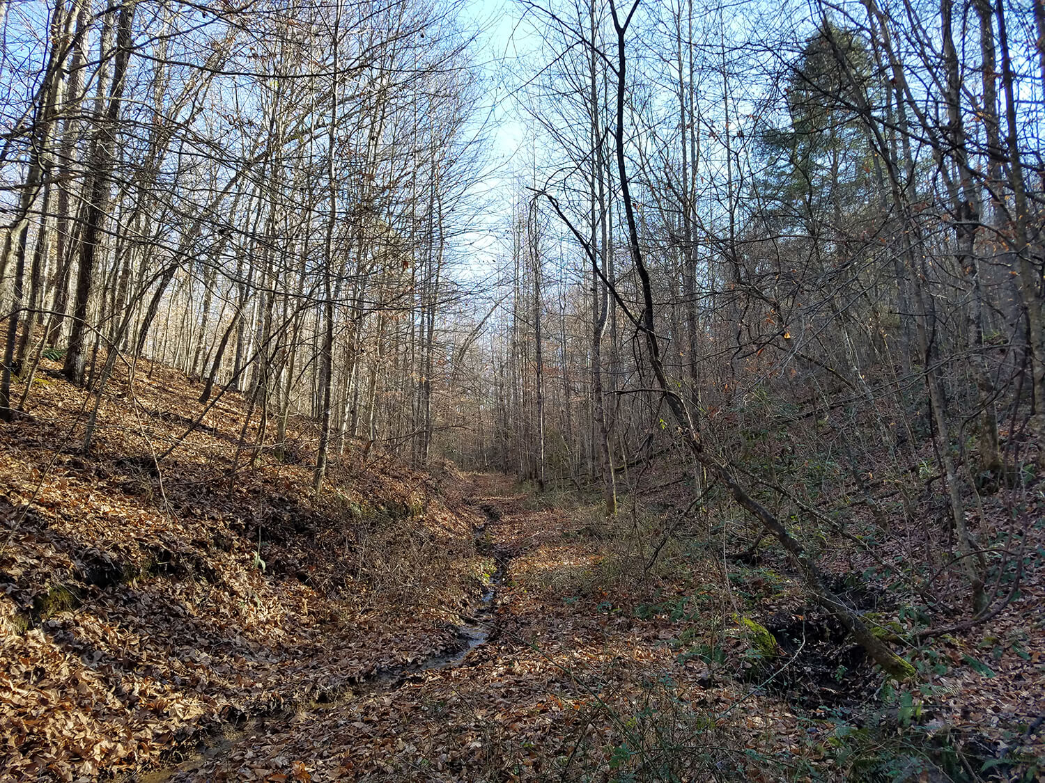 jacks creek farms 2-2