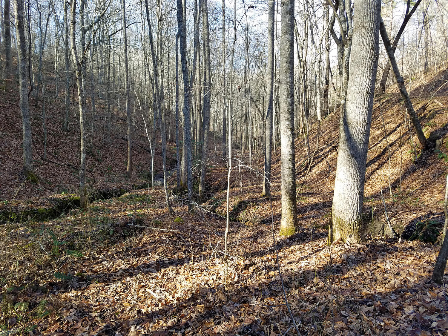 jacks creek farms 2-3