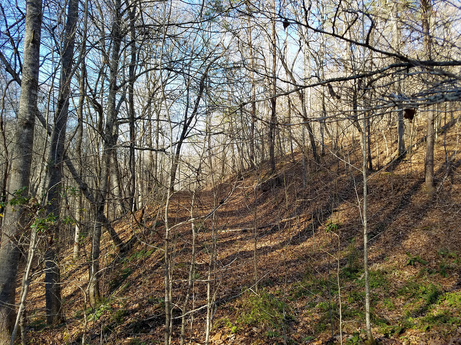 jacks creek farms 2-4