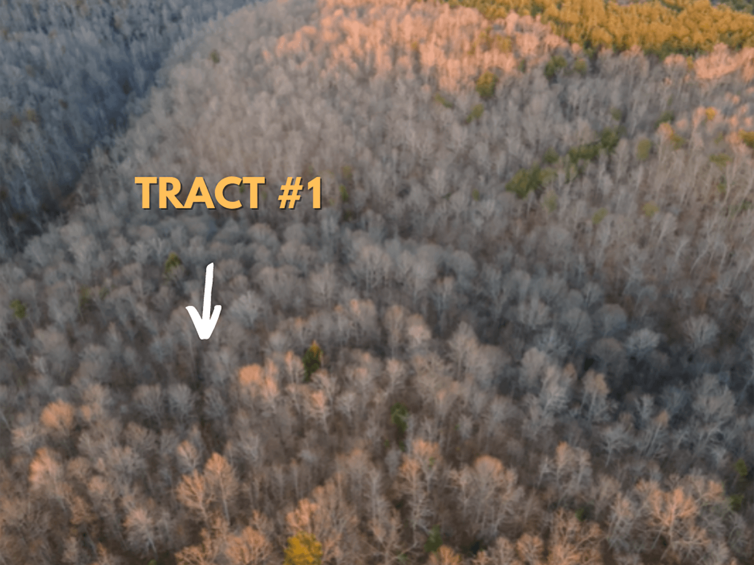 jacks creek farms 1-6