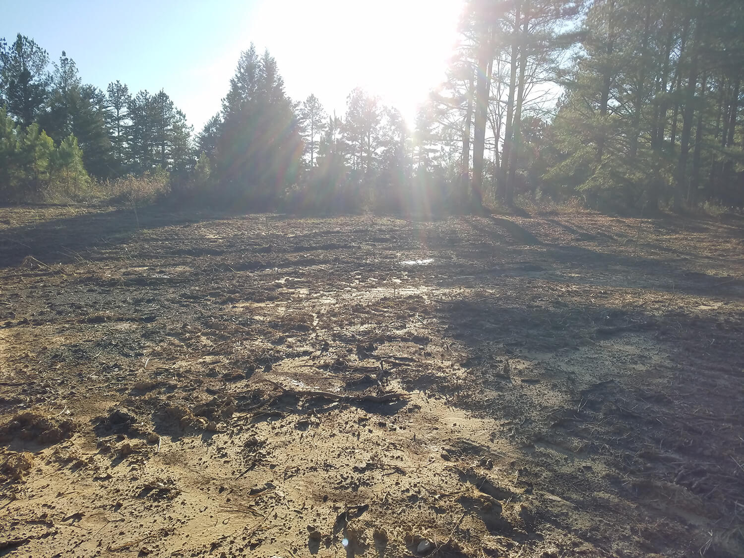 jacks creek farms 10-2