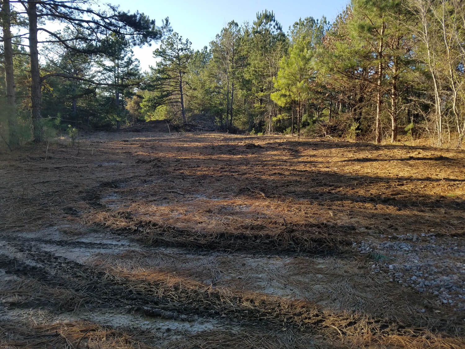 jacks creek farms 11-1