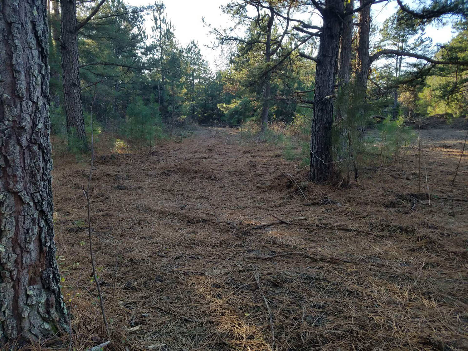 jacks creek farms 11-4