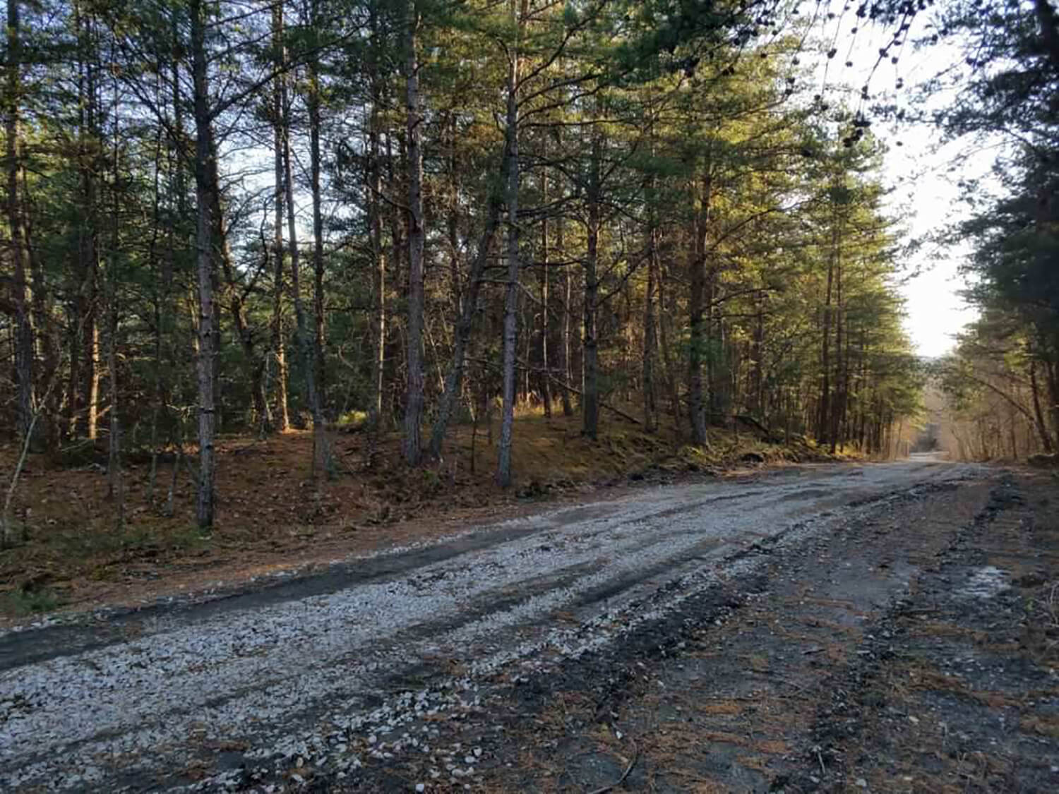 jacks creek farms 11-5