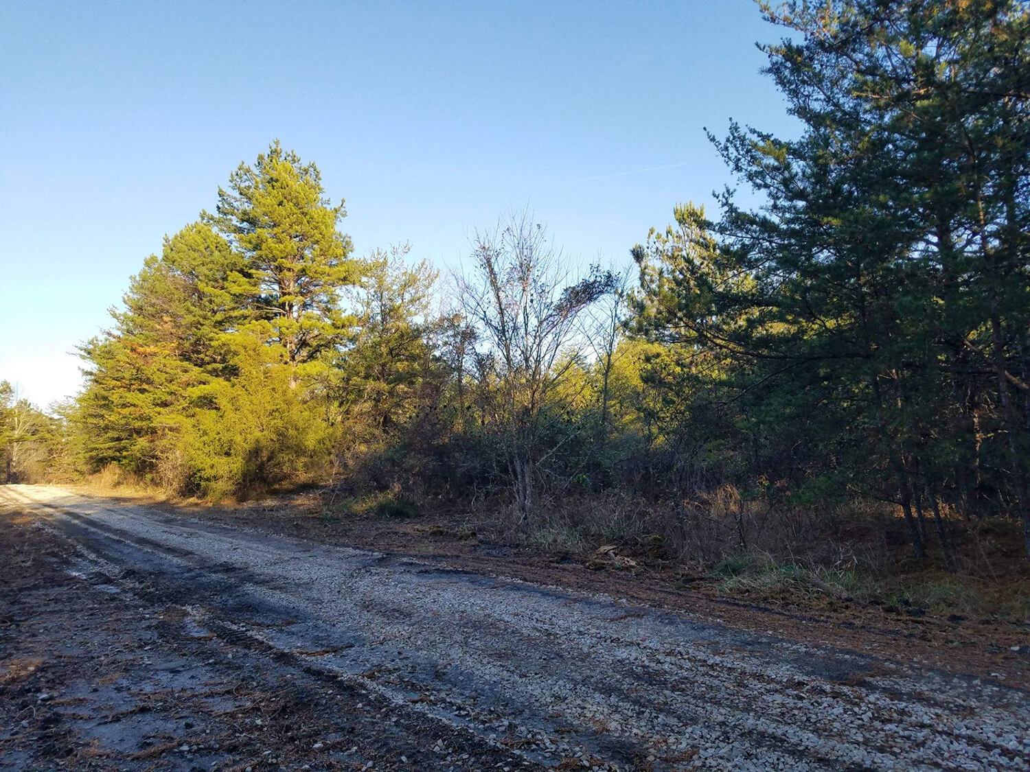 jacks creek farms 11-6