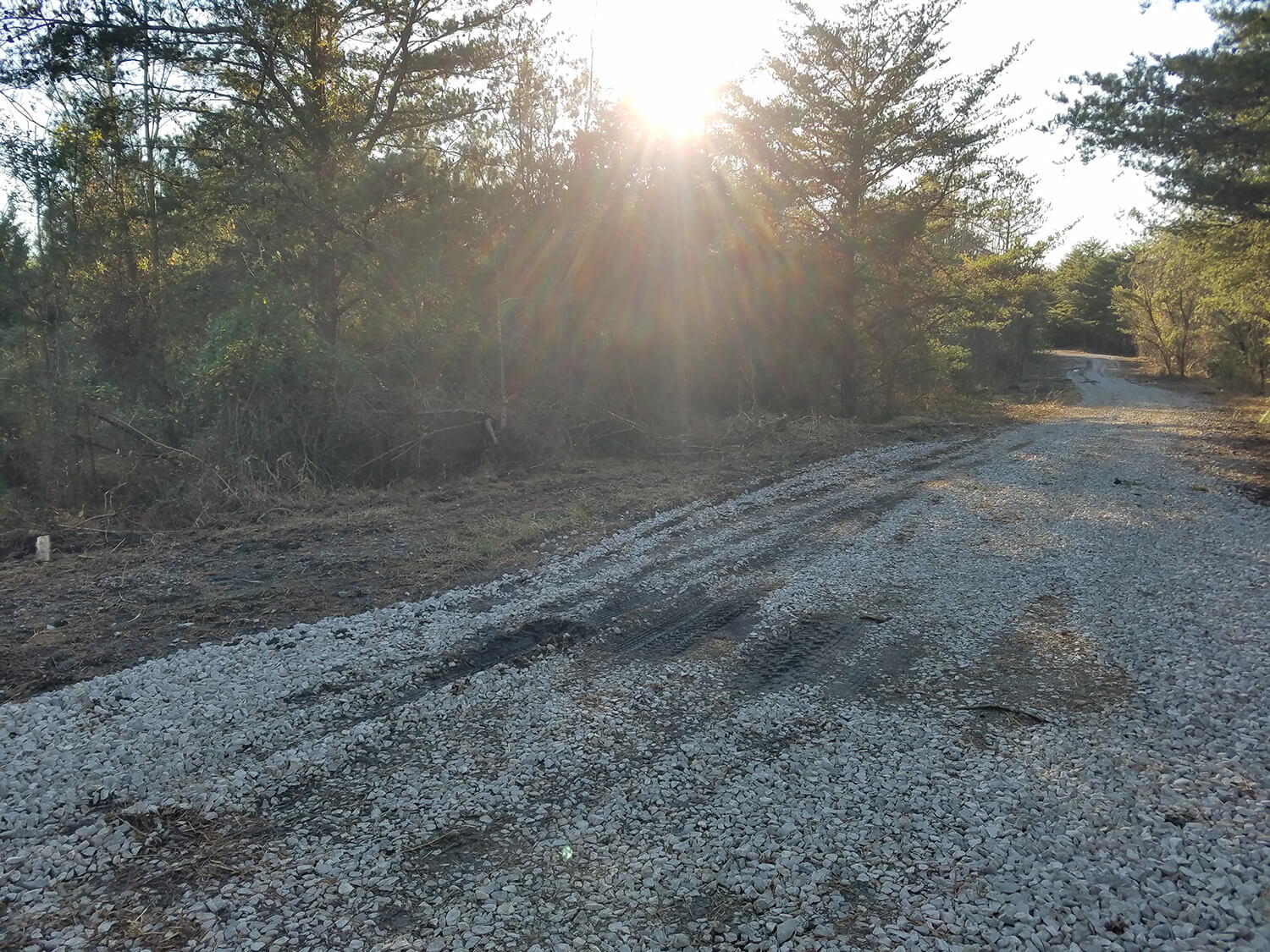 jacks creek farms 11-7