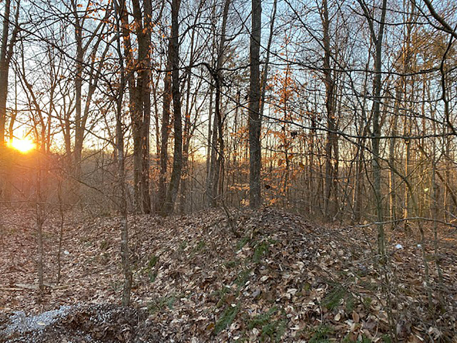 jacks creek farms 12-2