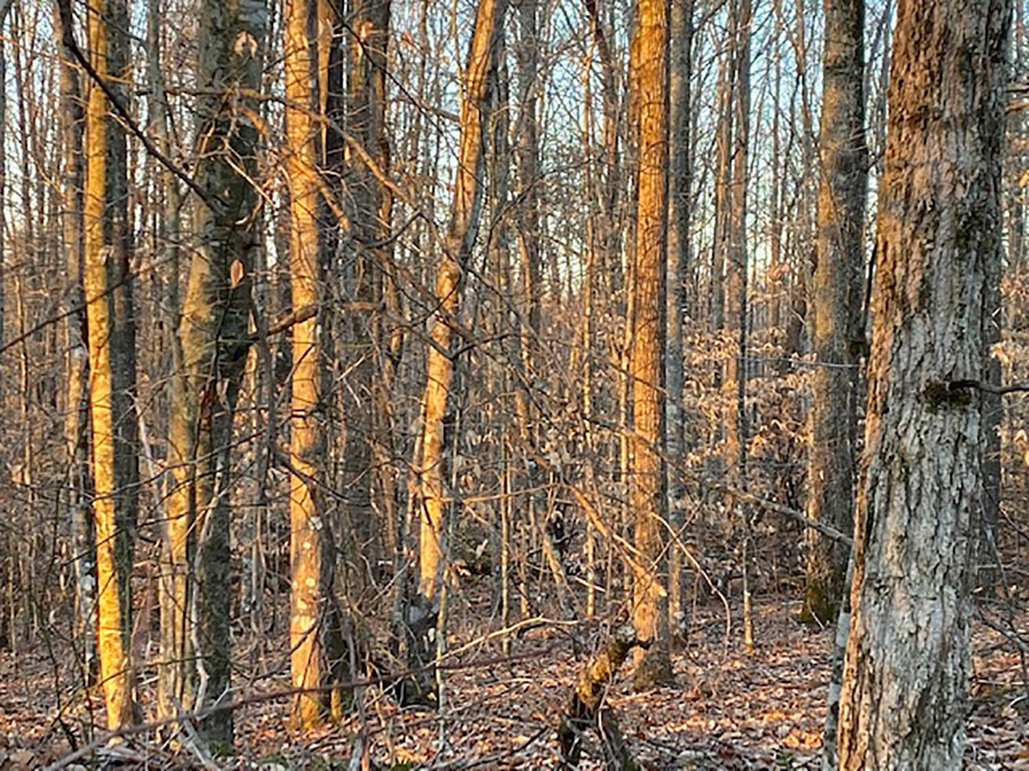 jacks creek farms 12-3