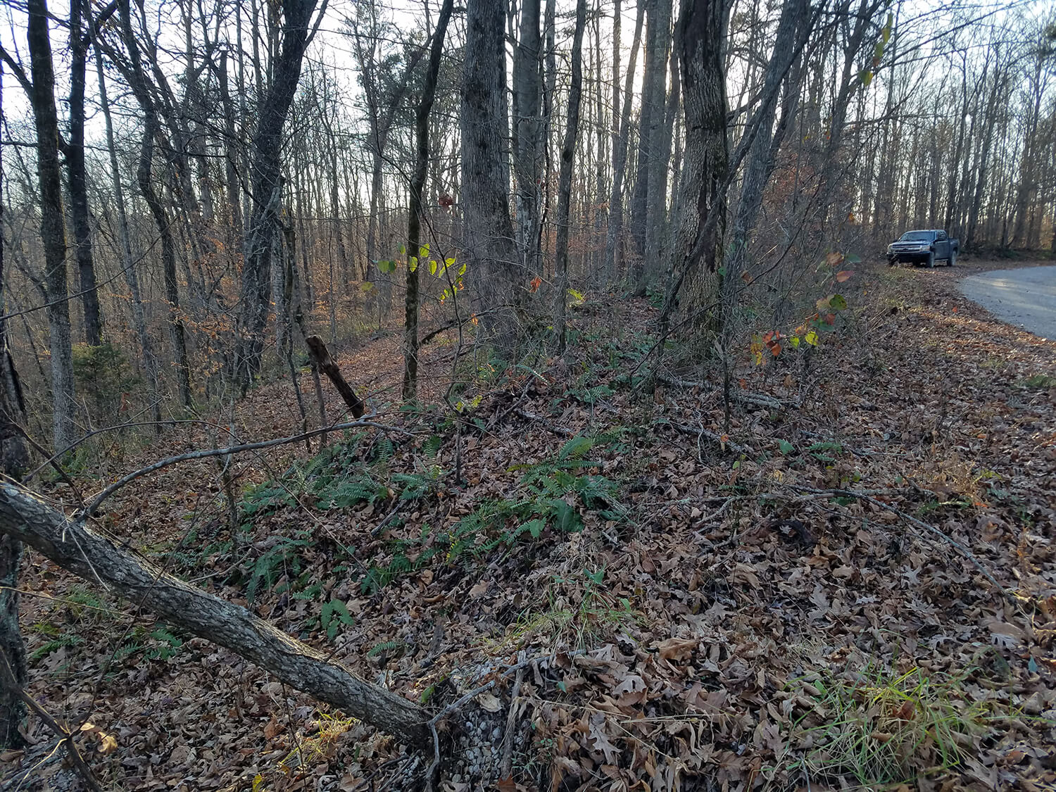 jacks creek farms 12-3