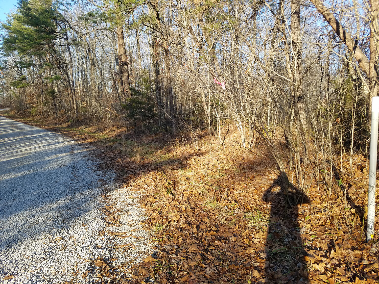 jacks creek farms 12-4