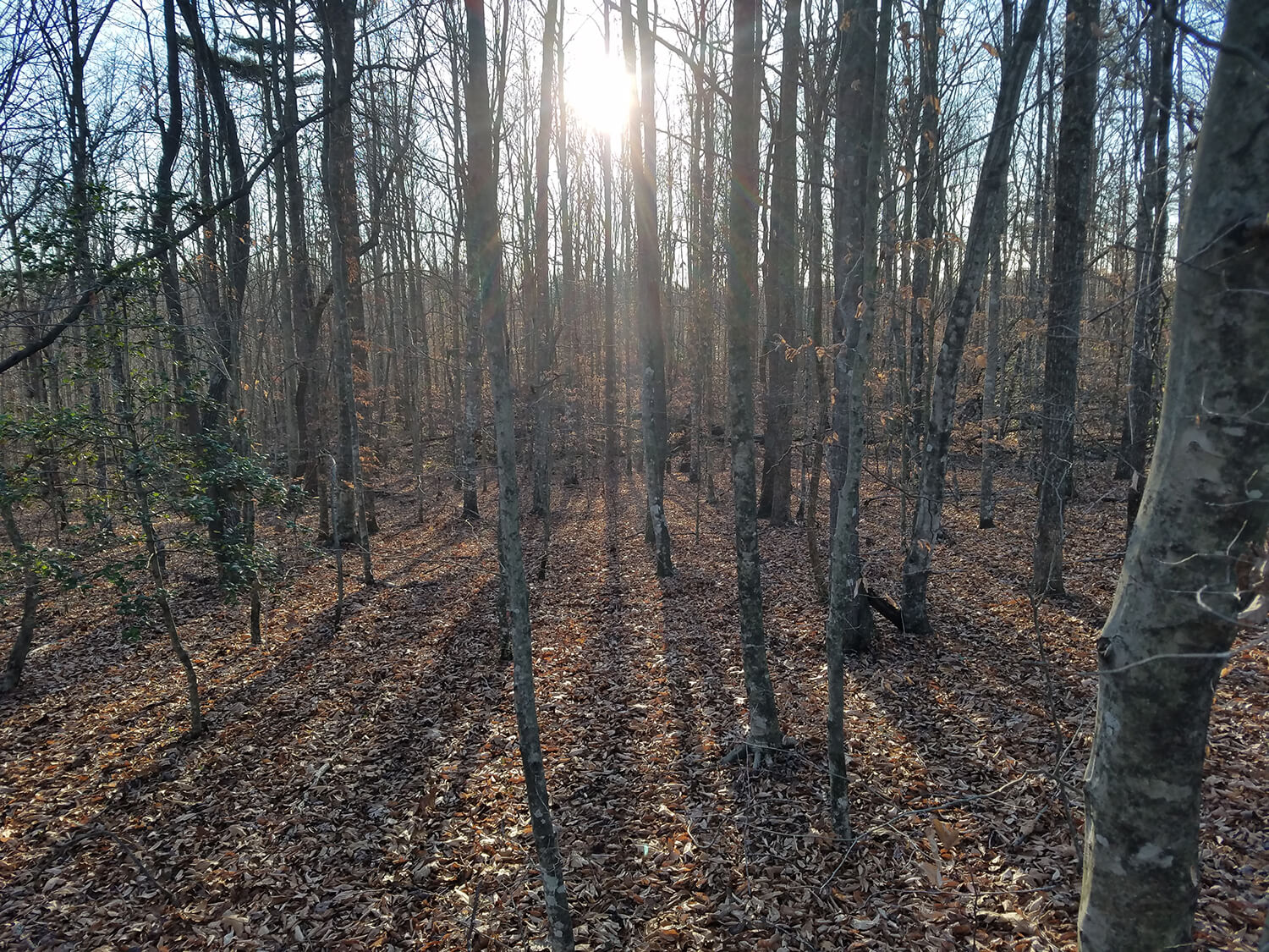 jacks creek farms 12-7