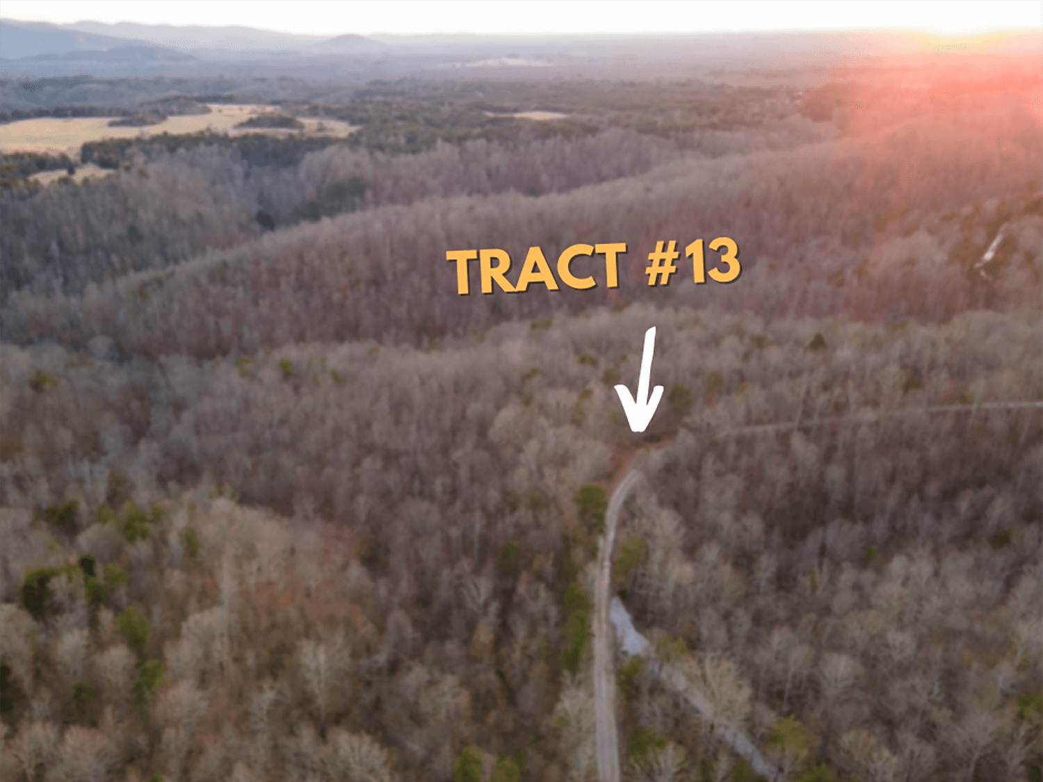 jacks creek farms 13-1