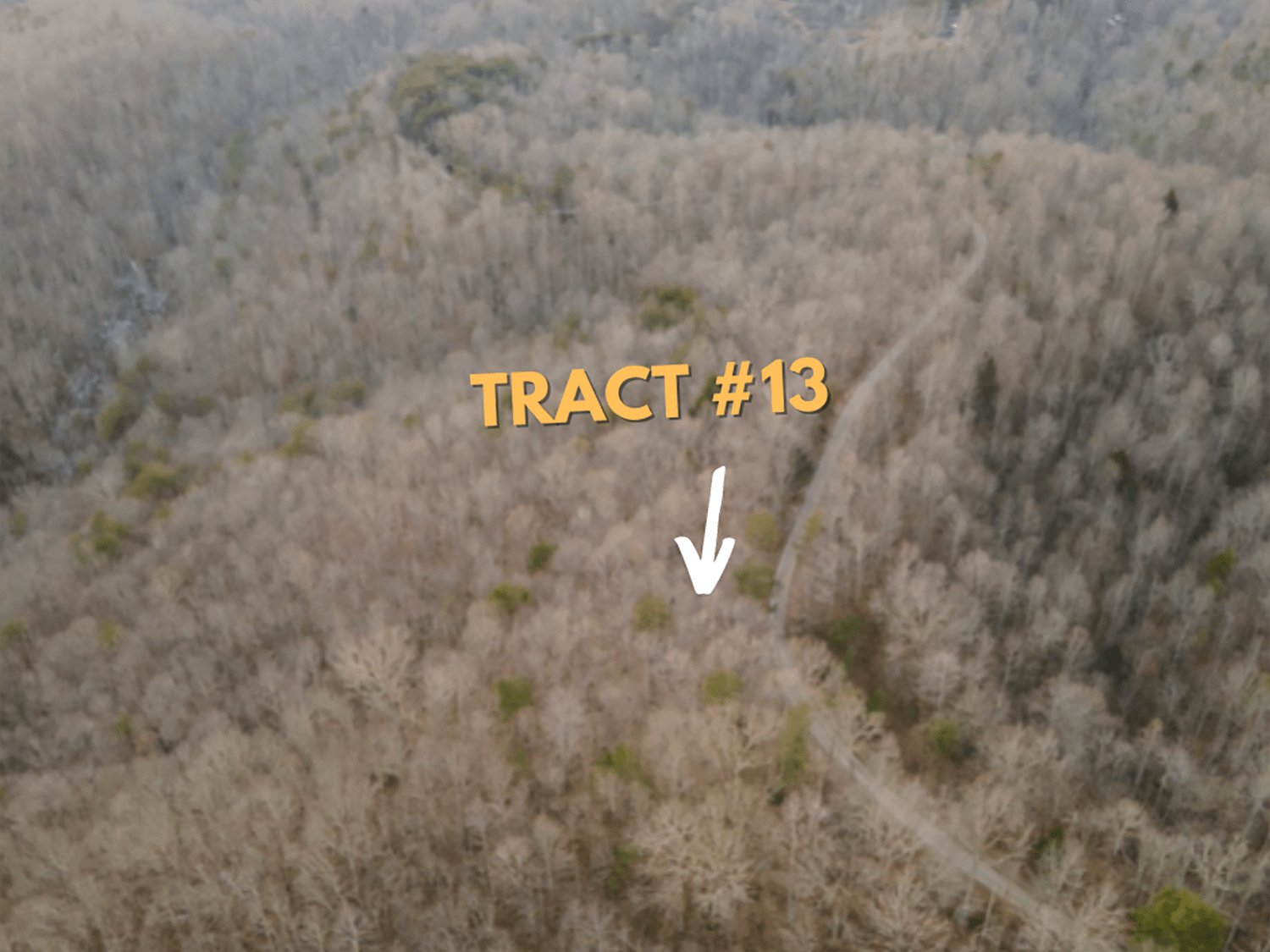 jacks creek farms 13-2