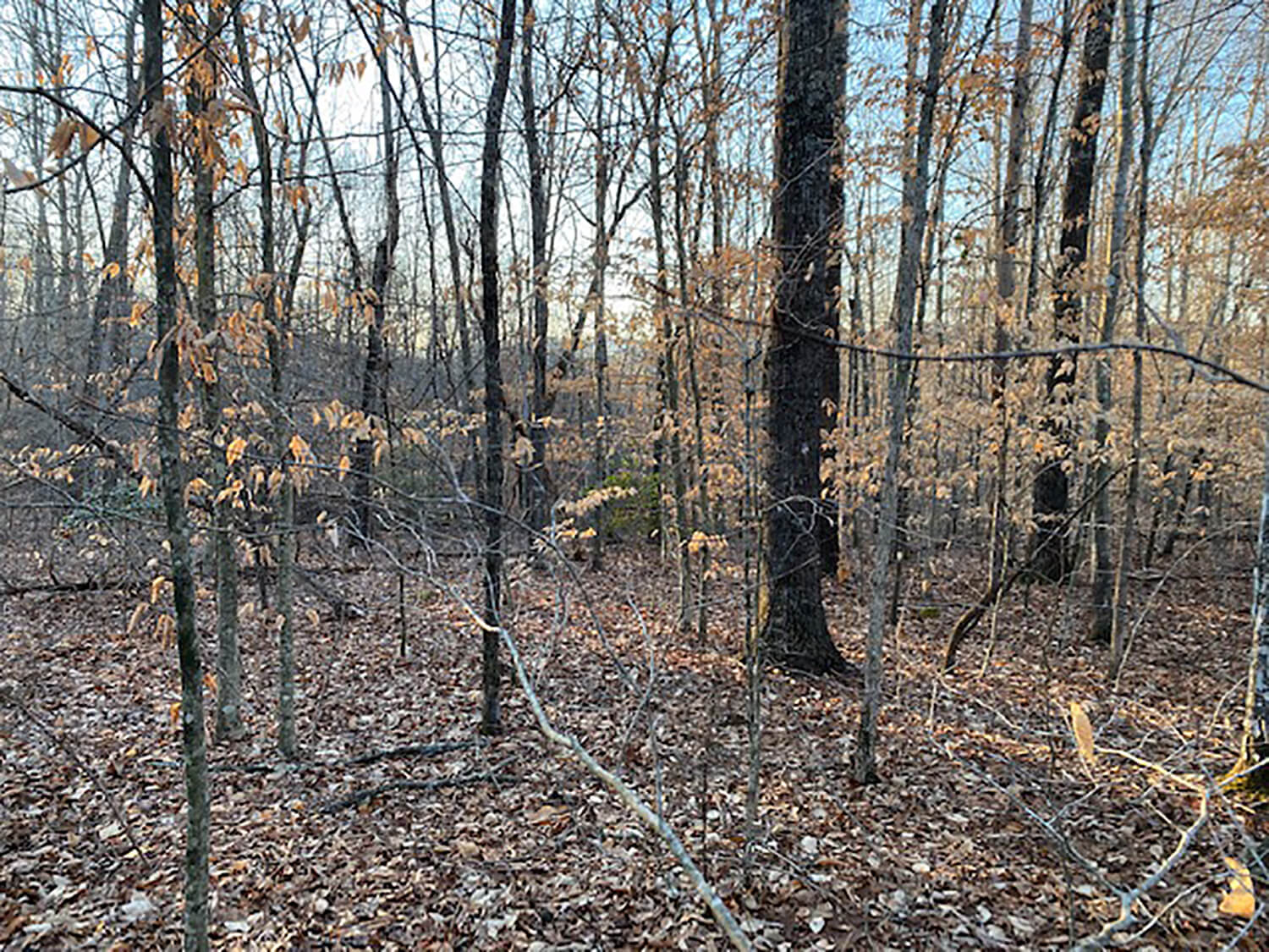 jacks creek farms 13-4