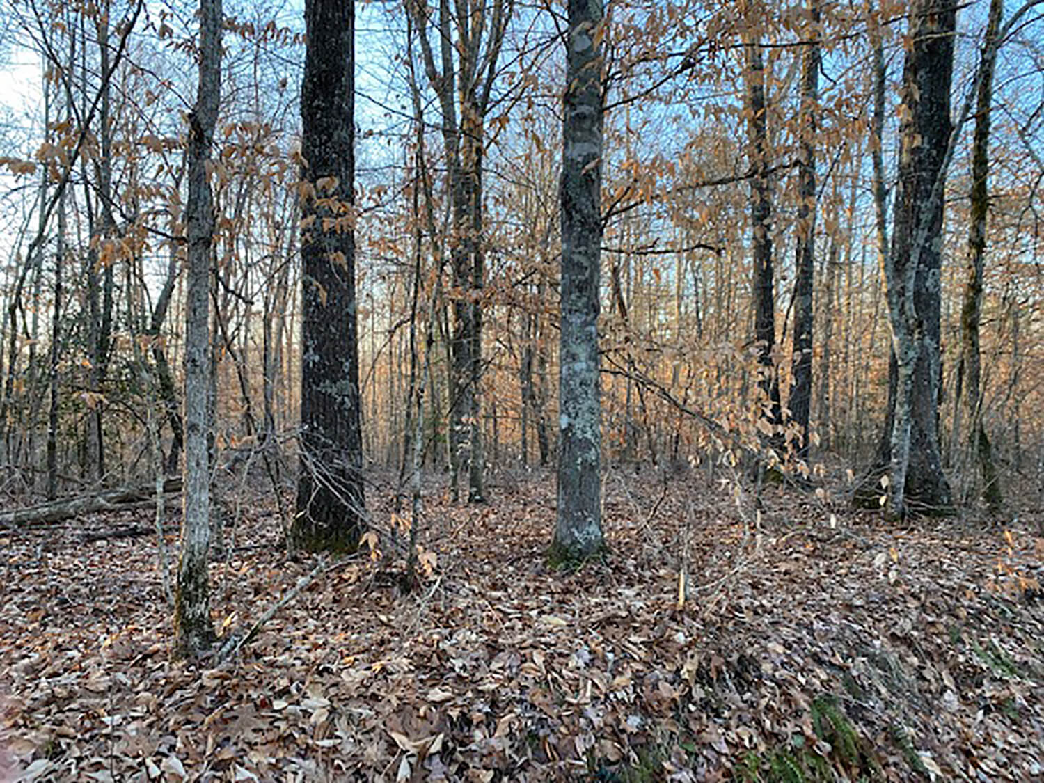 jacks creek farms 13-5