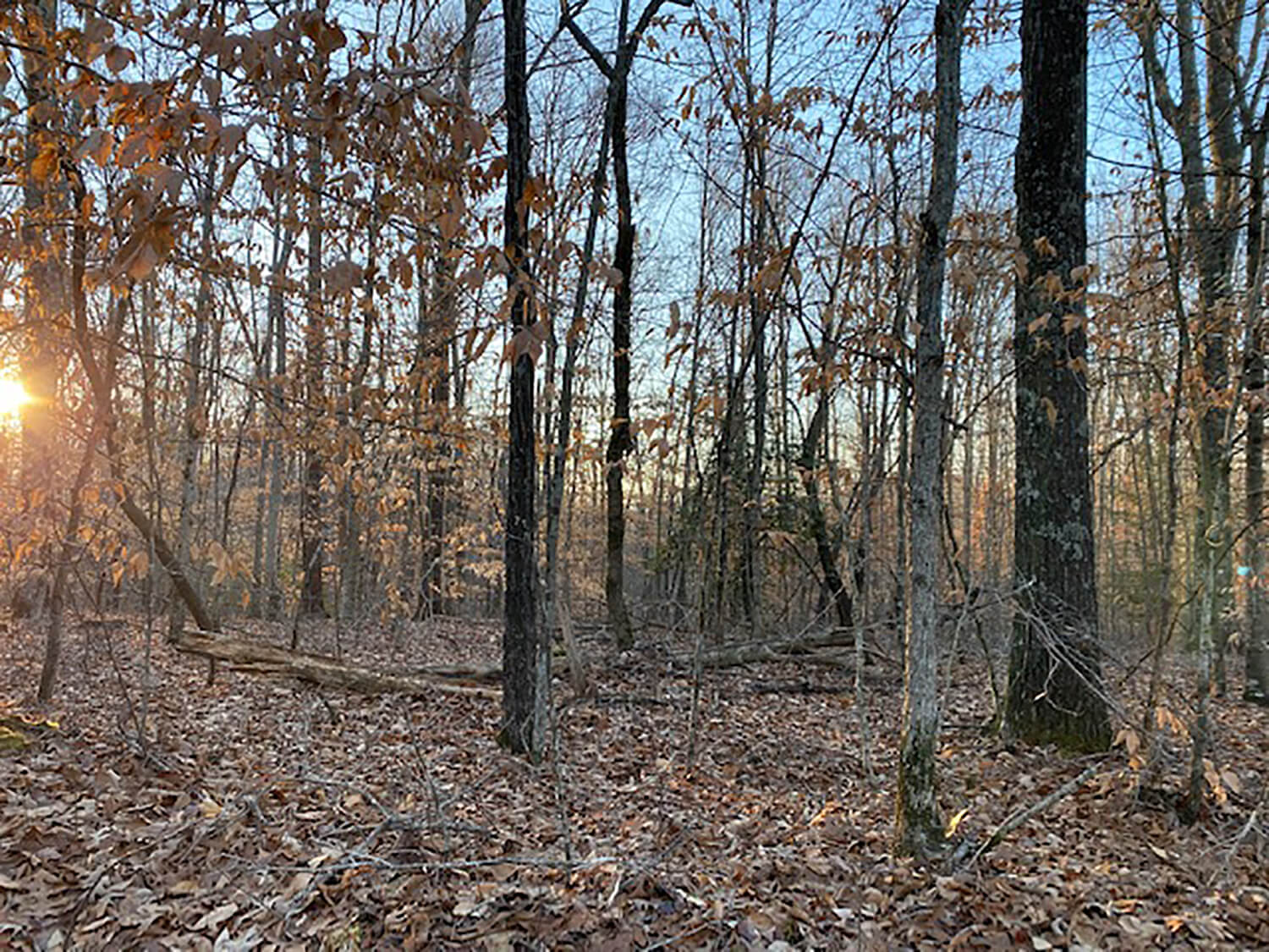 jacks creek farms 13-6