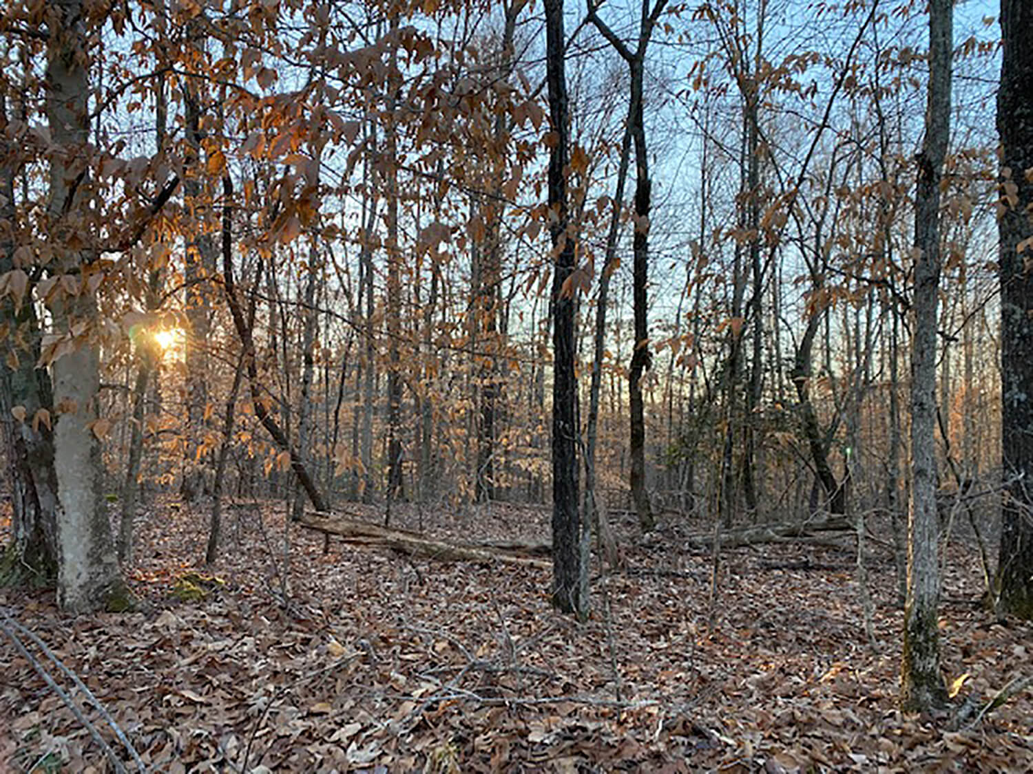 jacks creek farms 13-7