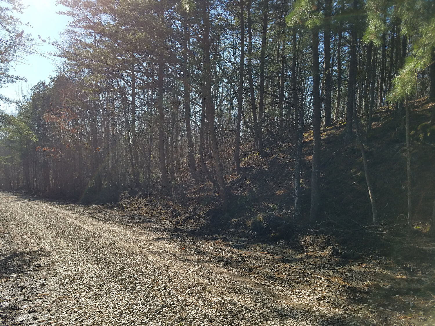 jacks creek farms 3-1