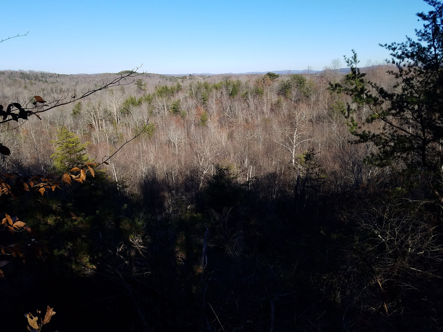 jacks creek farms 4-2