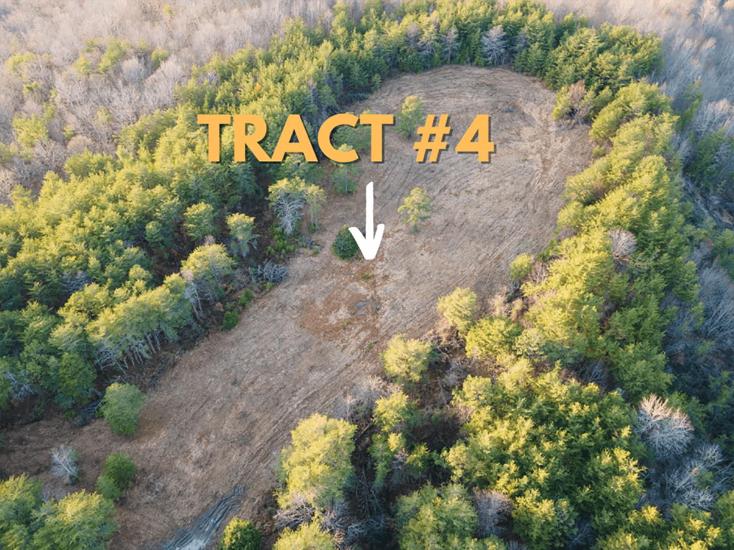 jacks creek farms 4-3