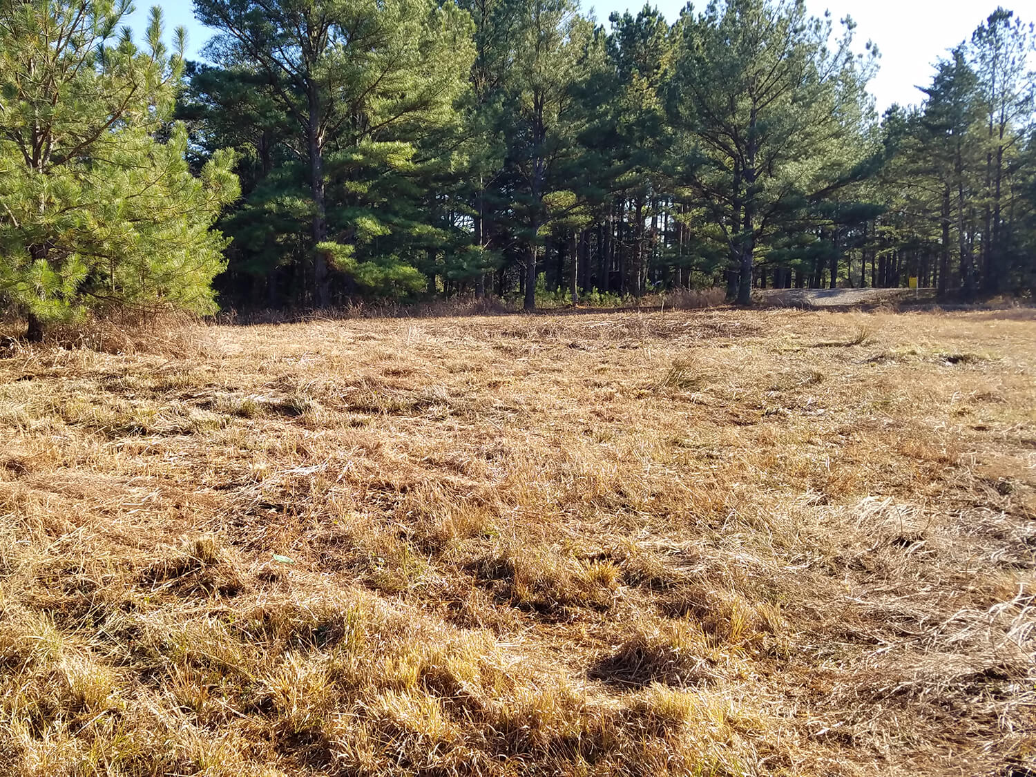 jacks creek farms 6-2