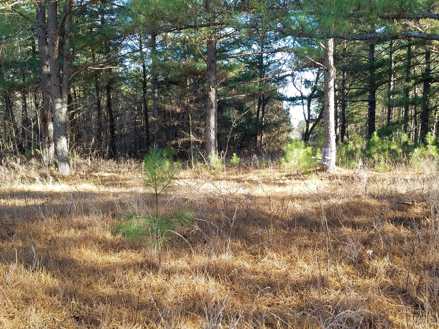 jacks creek farms 6-3