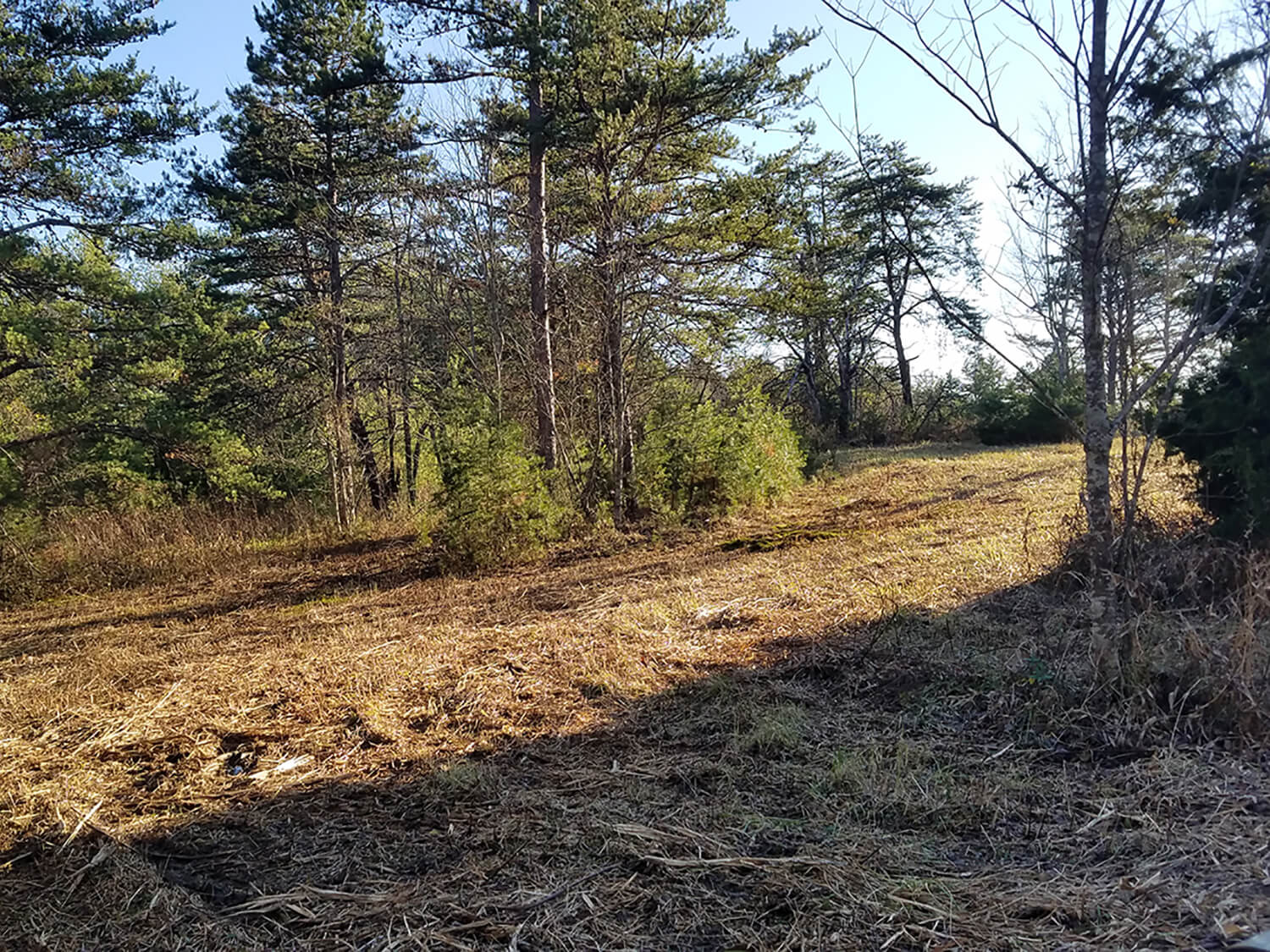 jacks creek farms 8-2