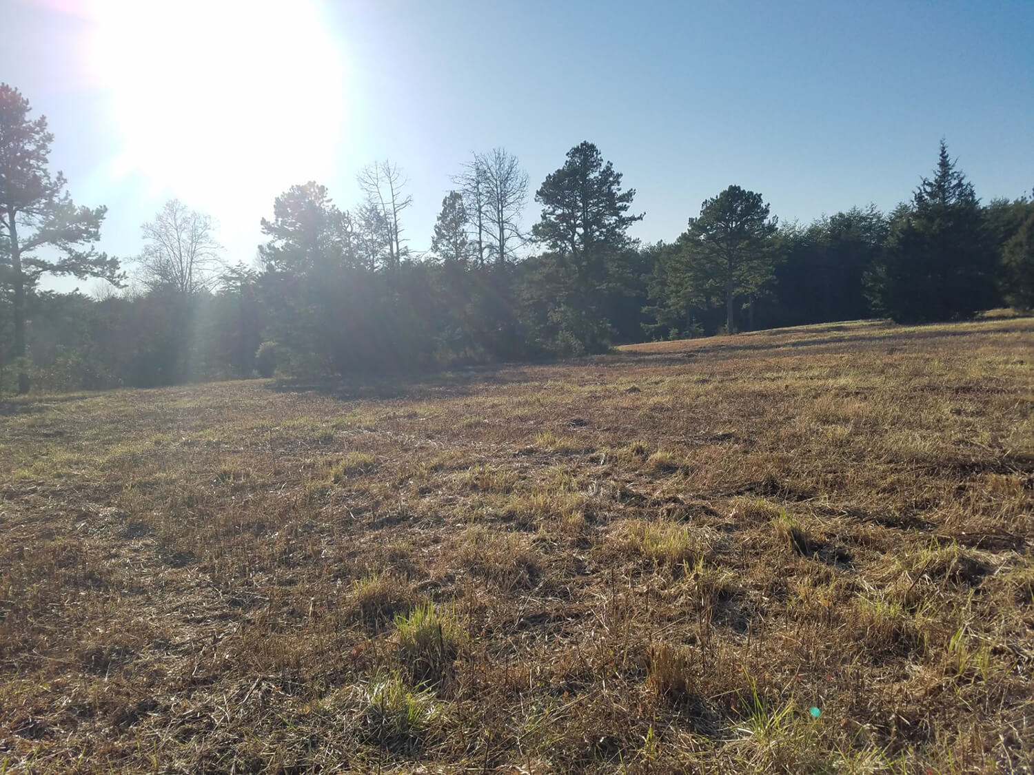 jacks creek farms 9-1