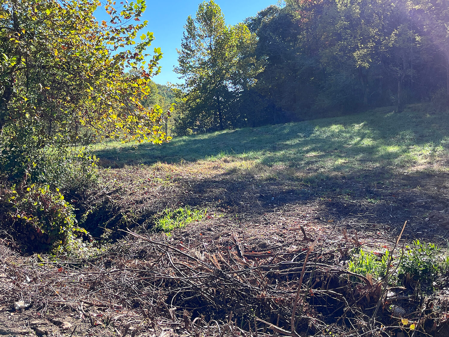 lowder fork farms 1-2