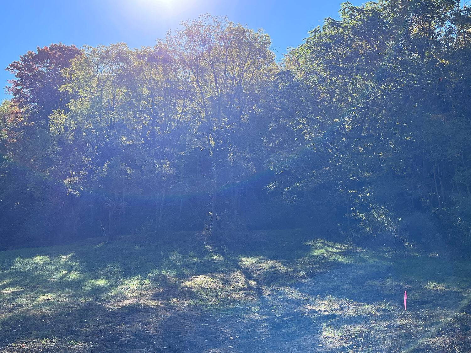 lowder fork farms 1-3