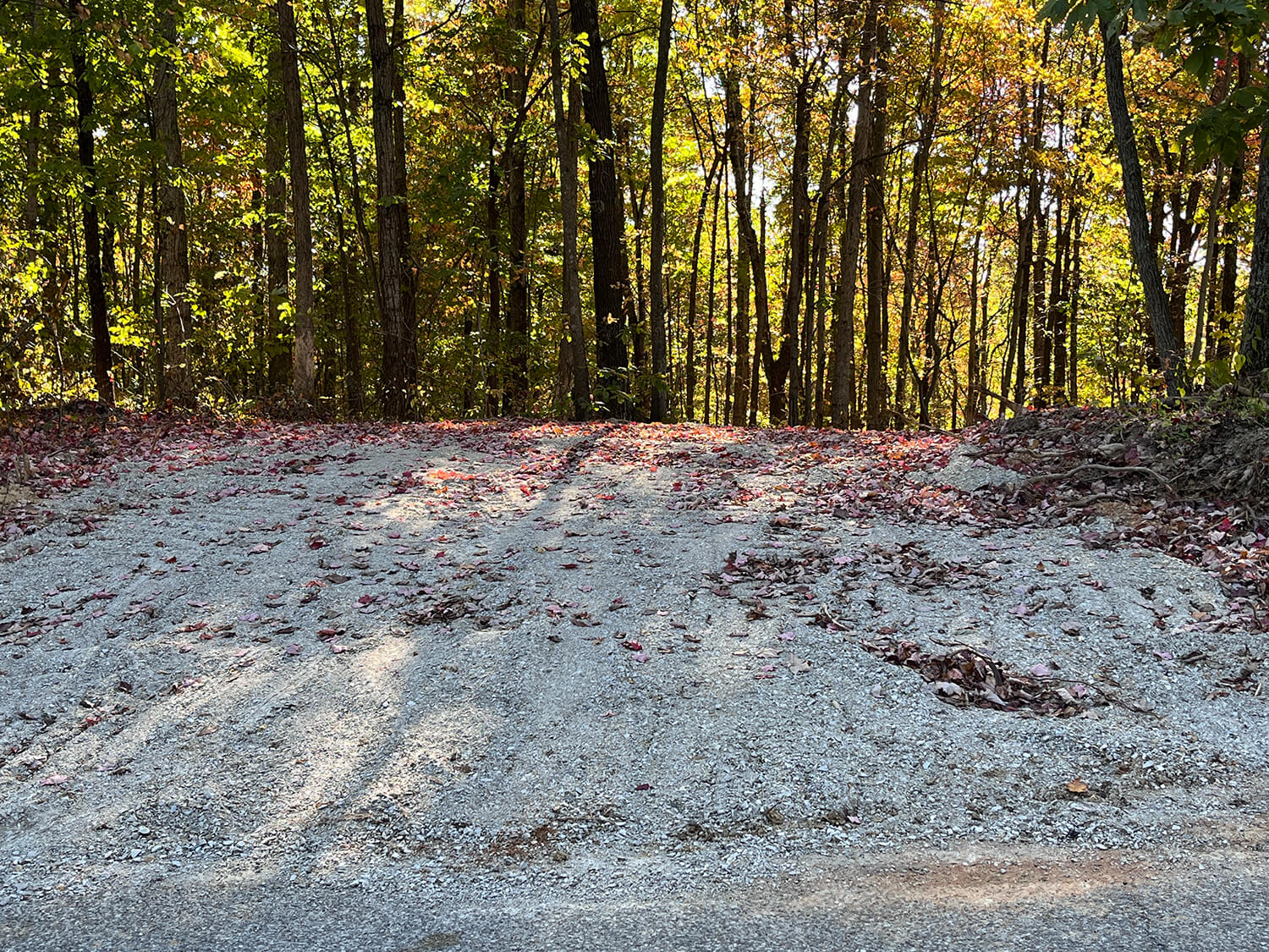 lowder fork farms 10-2