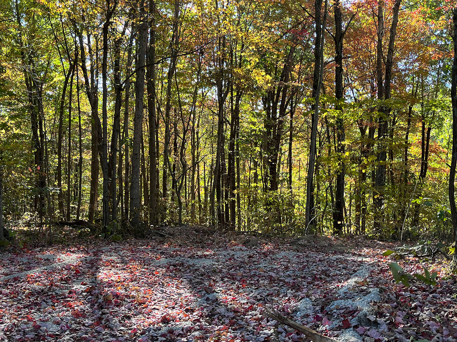 lowder fork farms 10-5