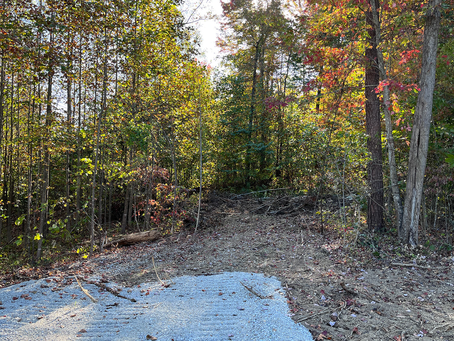 lowder fork farms 11-3