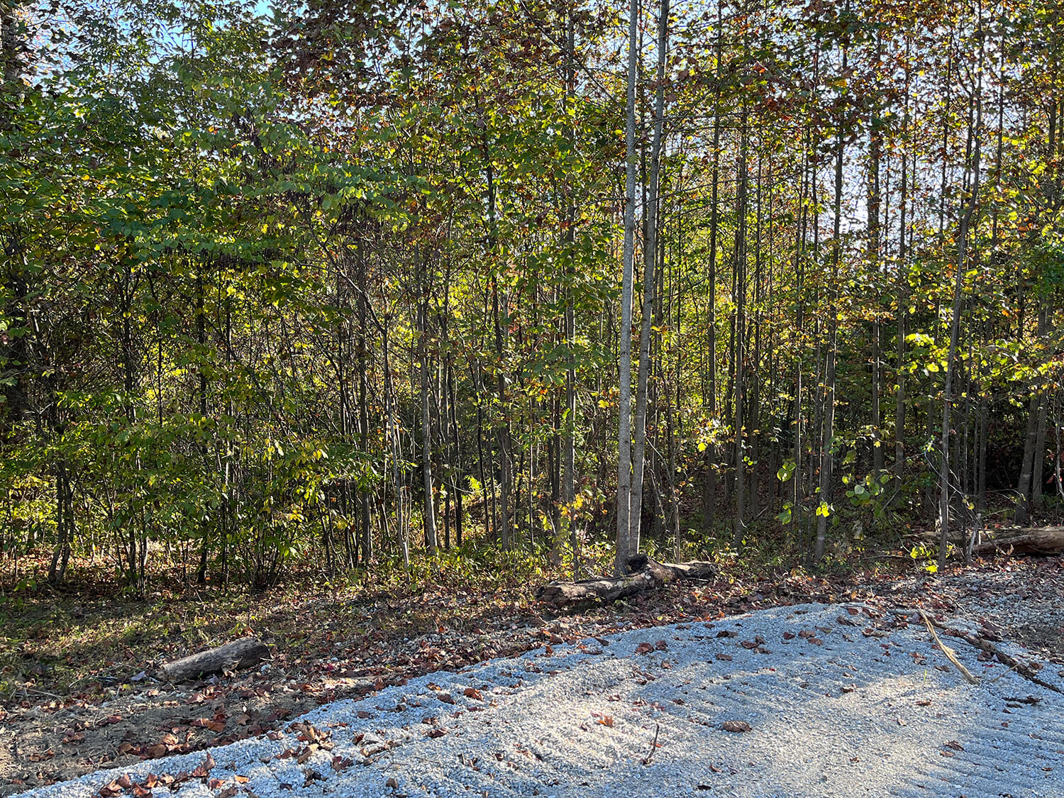 lowder fork farms 11-4