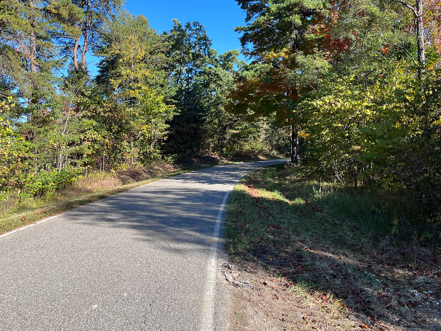 lowder fork farms 11-5