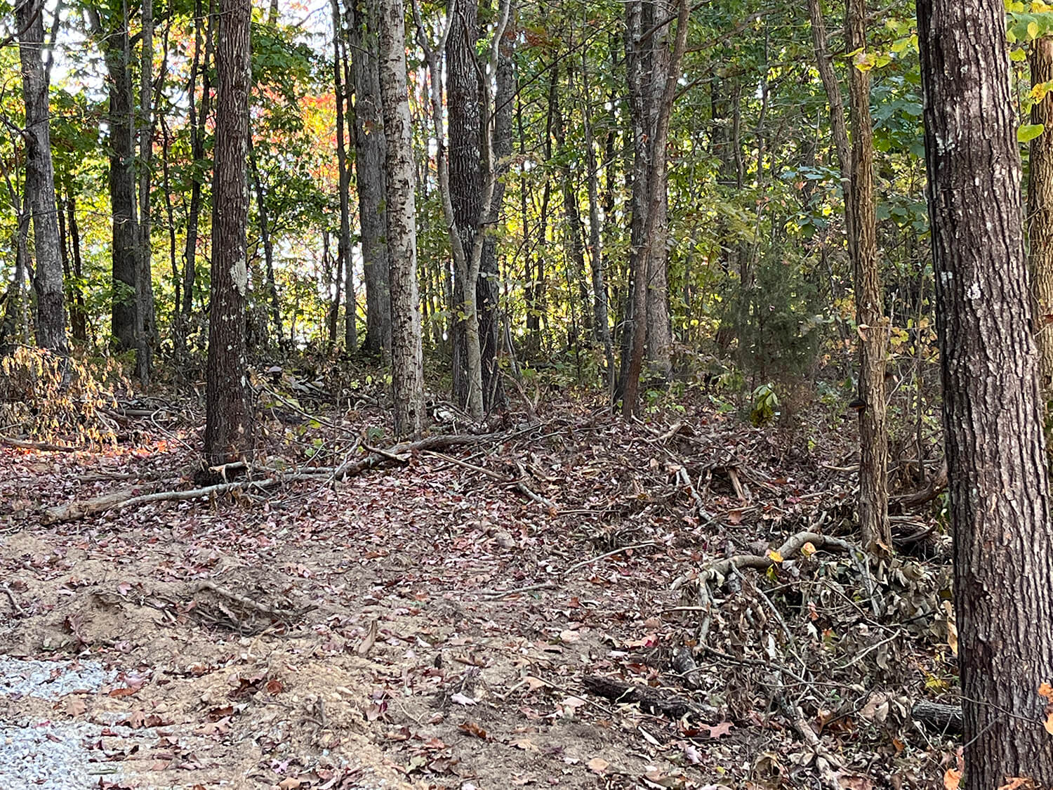 lowder fork farms 12-3