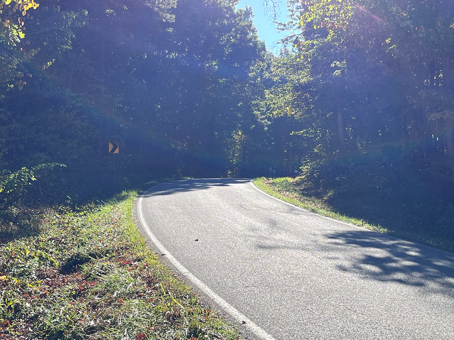 lowder fork farms 12-5