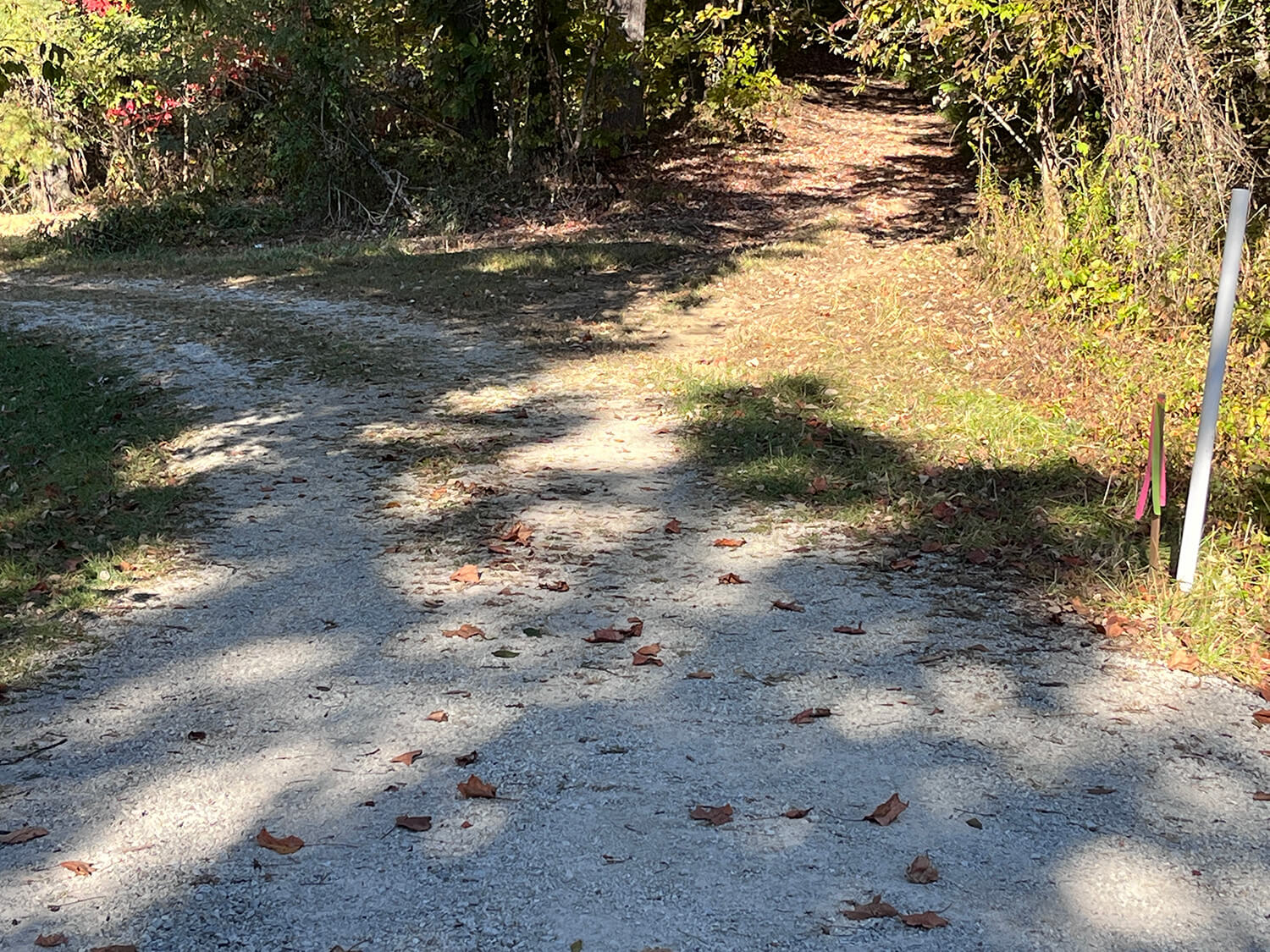 lowder fork farms 13-4