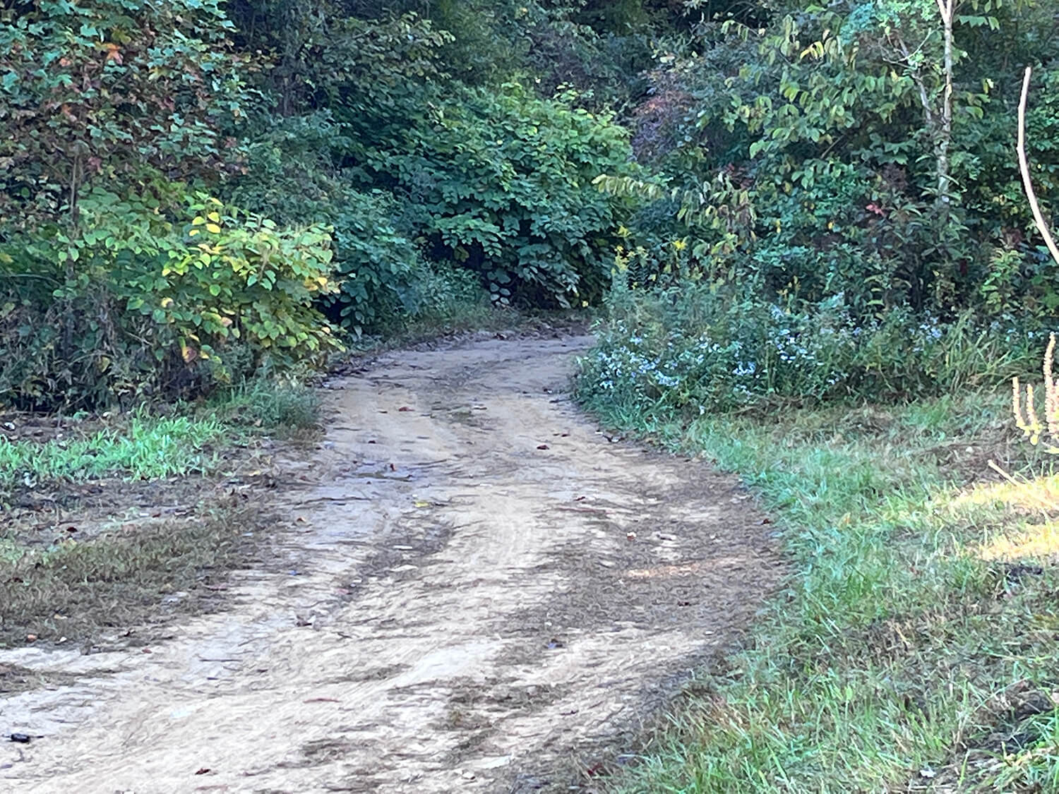 lowder fork farms 2-2