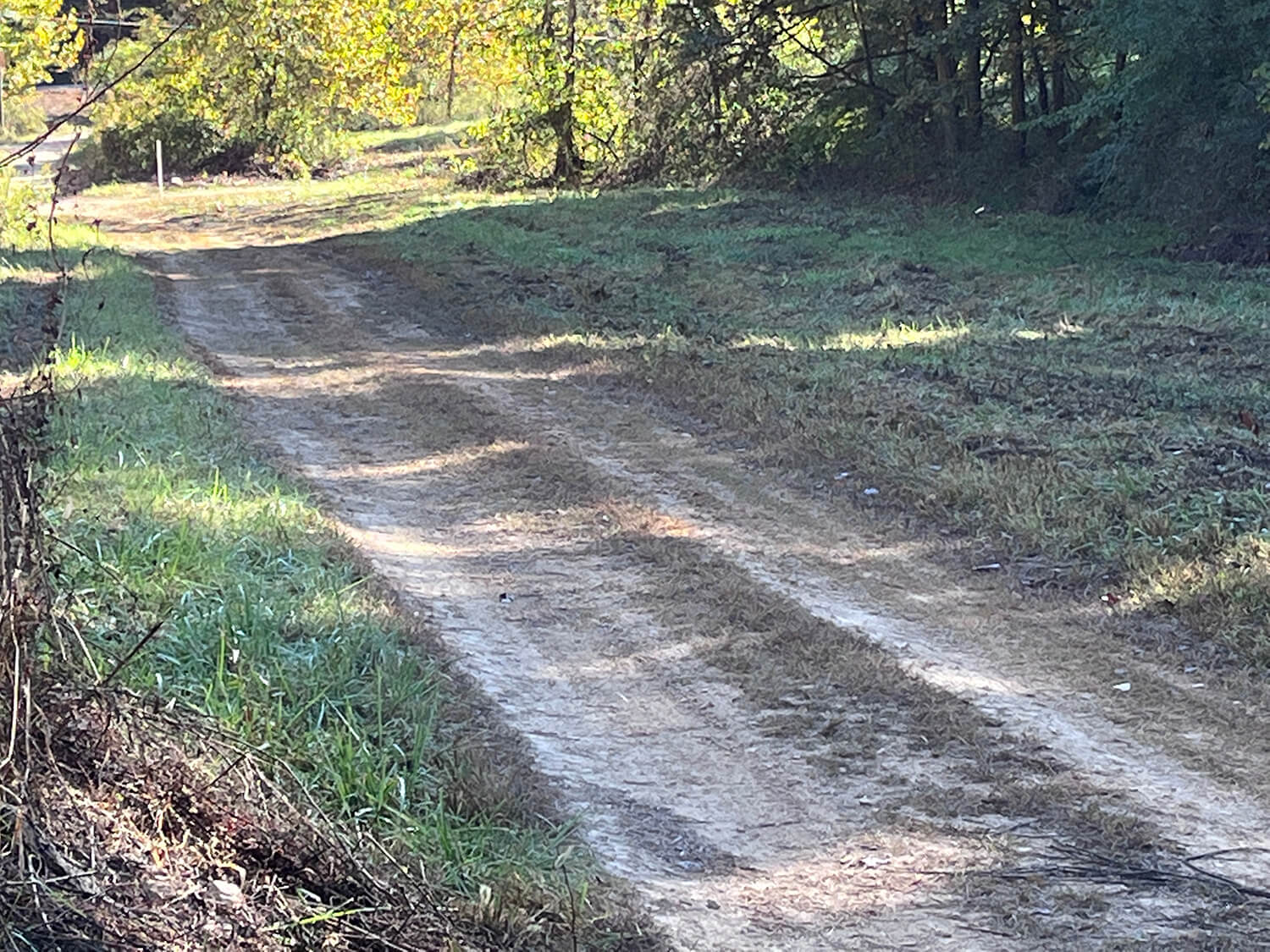 lowder fork farms 2-3