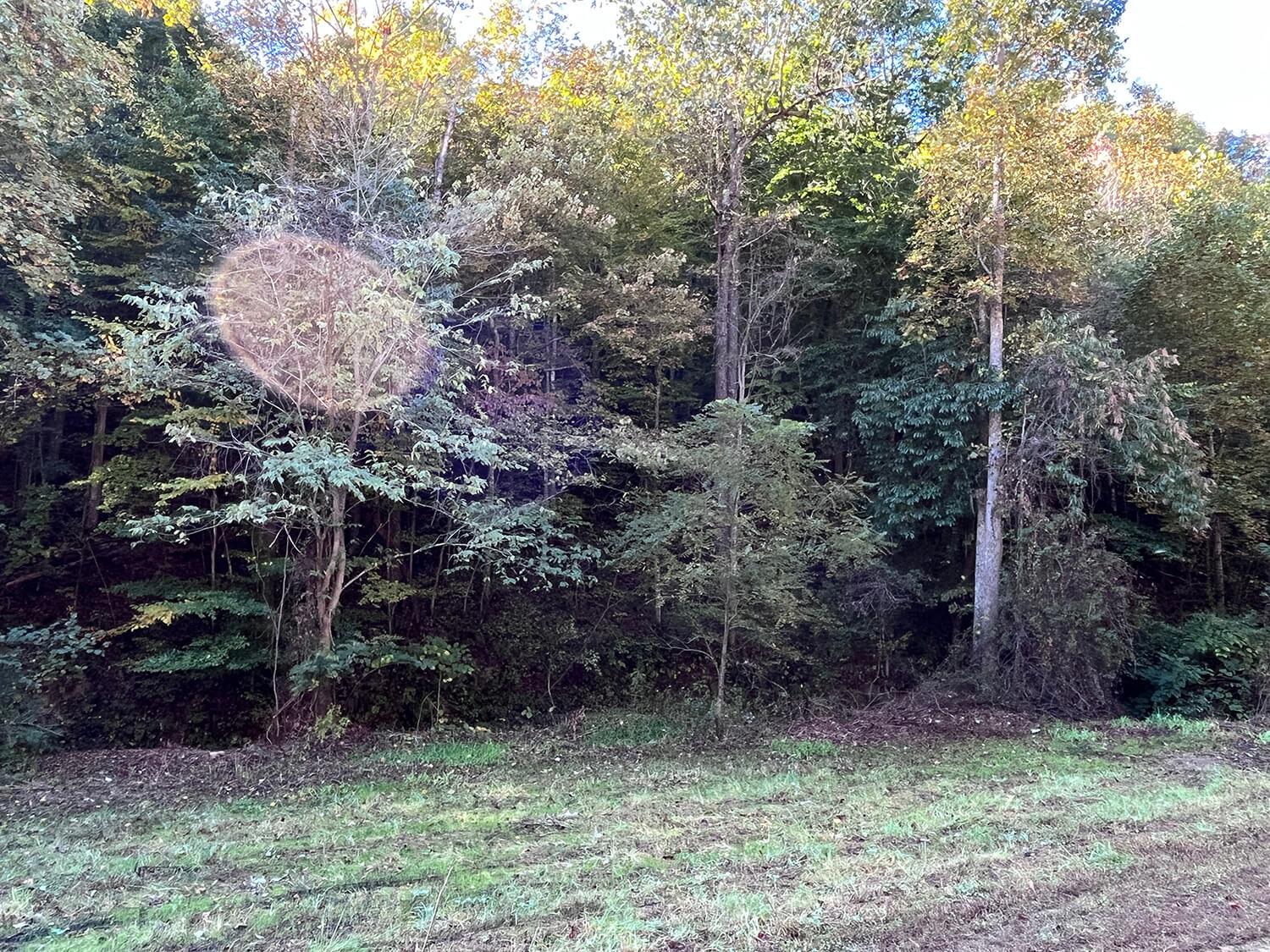 lowder fork farms 2-4