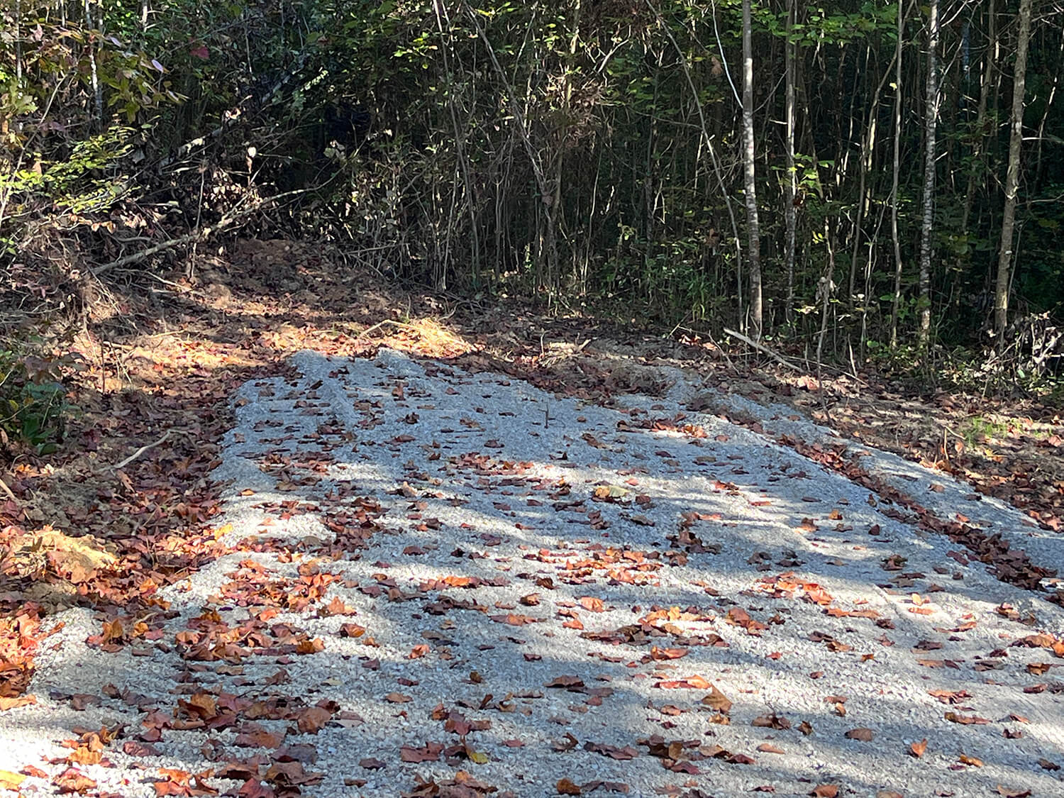 lowder fork farms 4-2