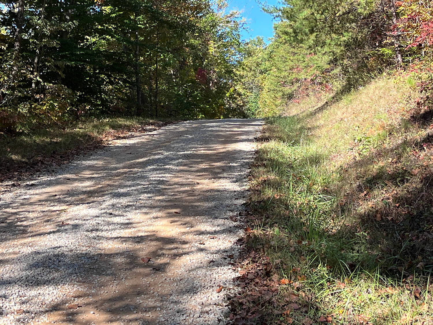 lowder fork farms 4-3