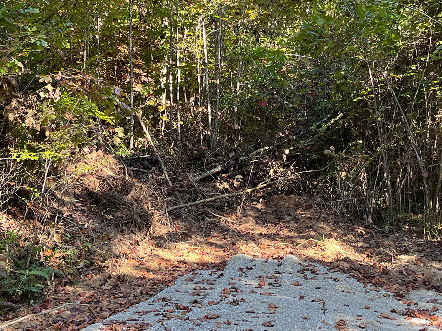 lowder fork farms 4-4