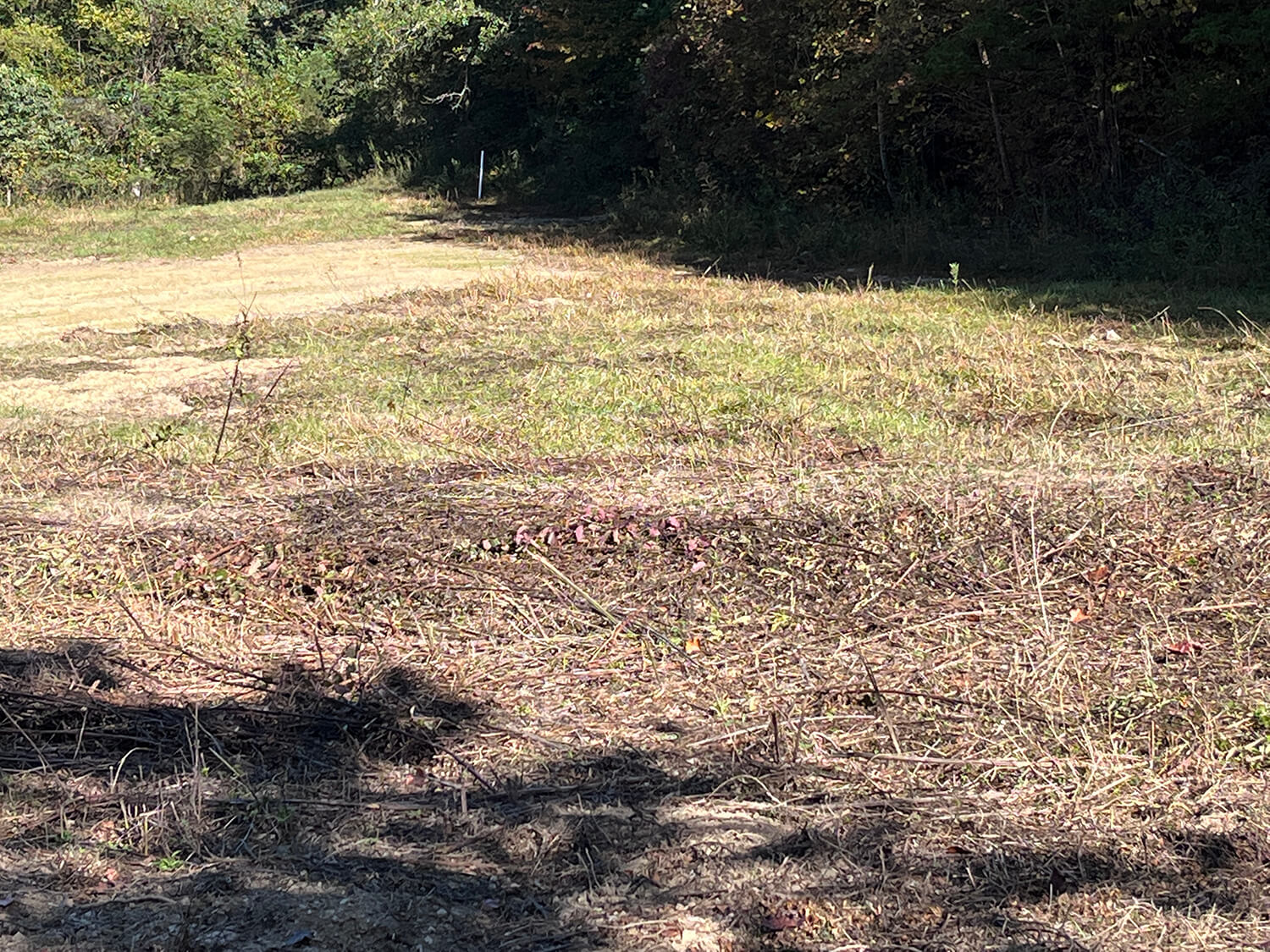 lowder fork farms 5-2