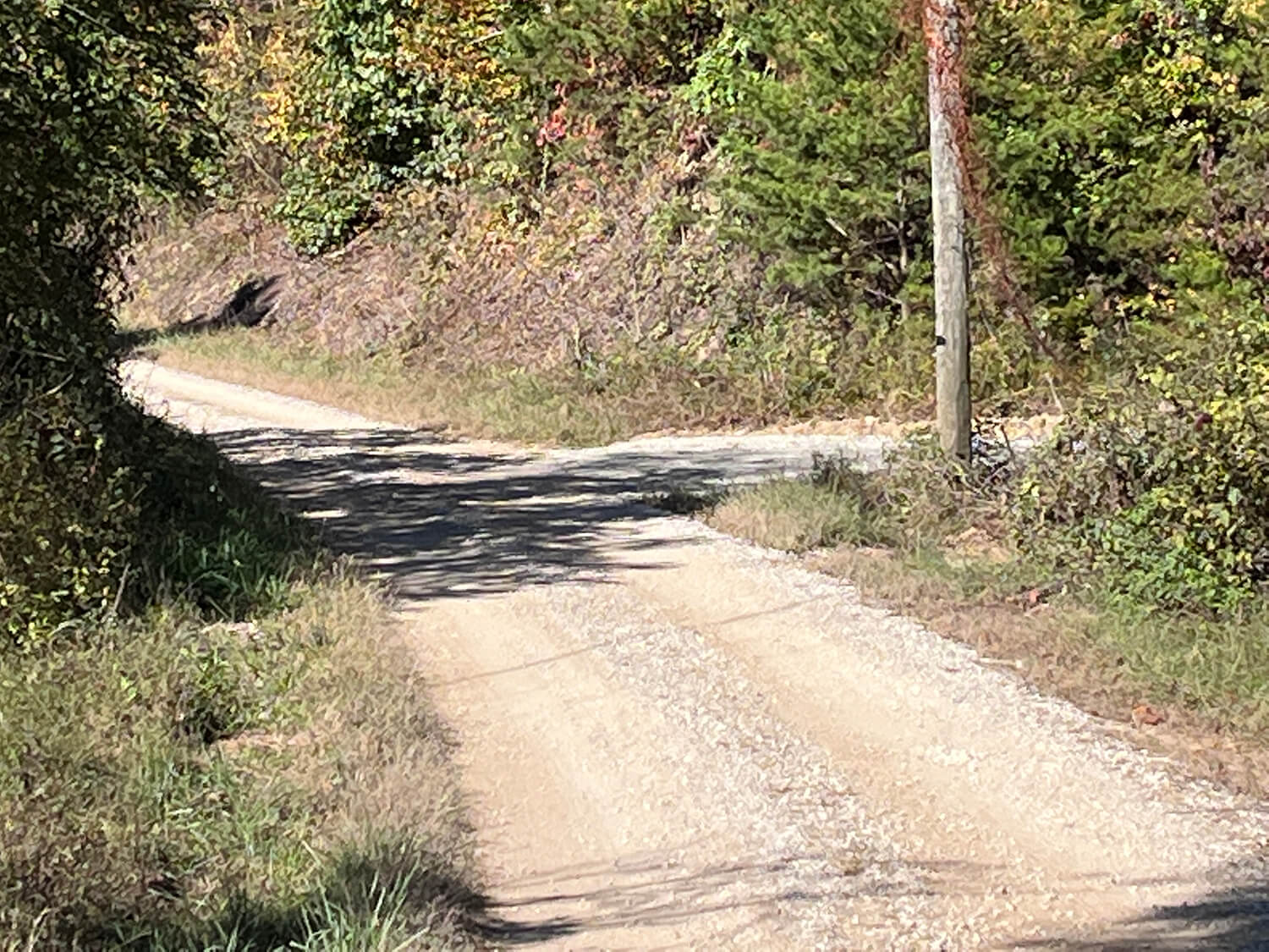 lowder fork farms 5-4