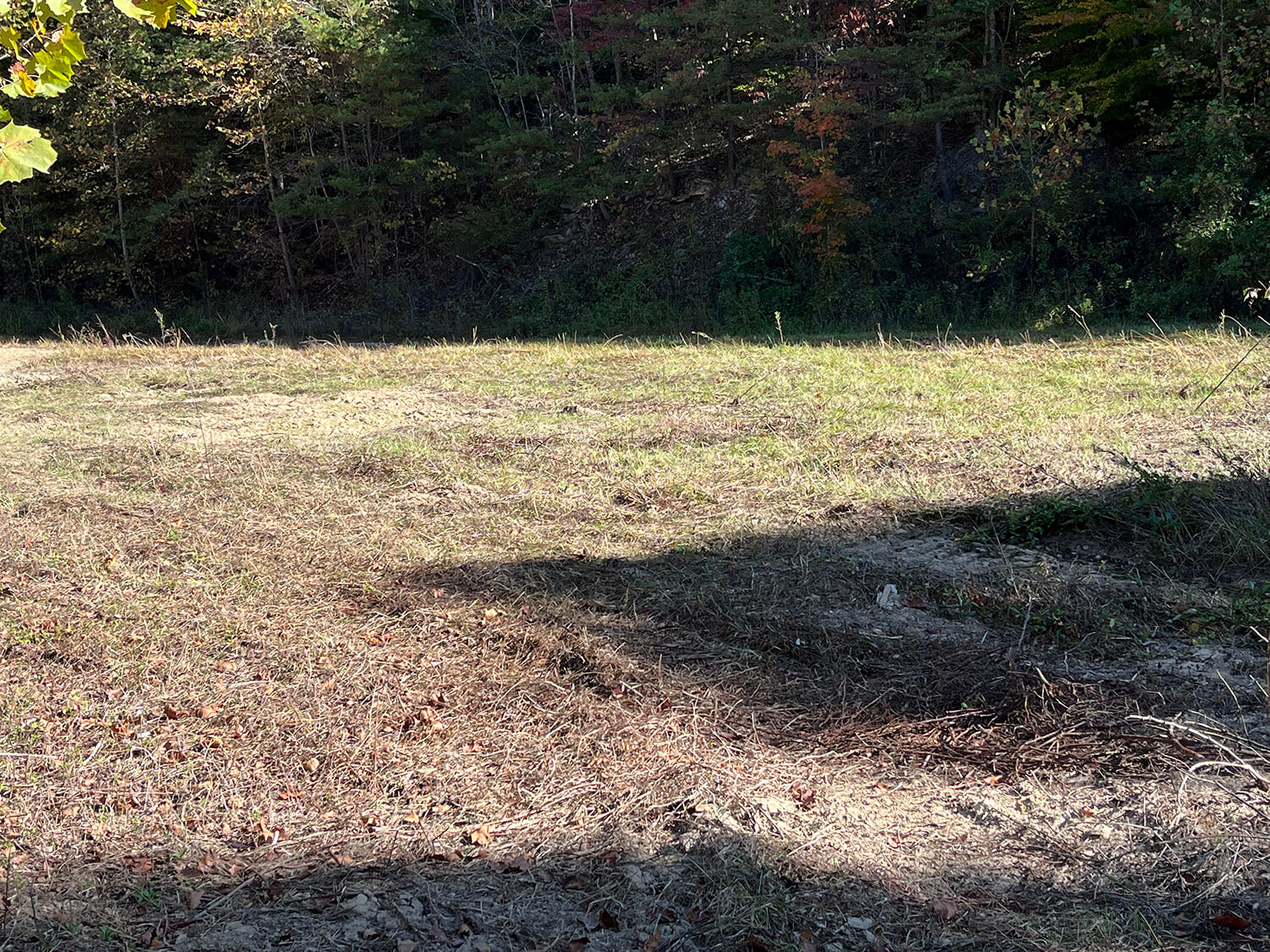 lowder fork farms 6-4