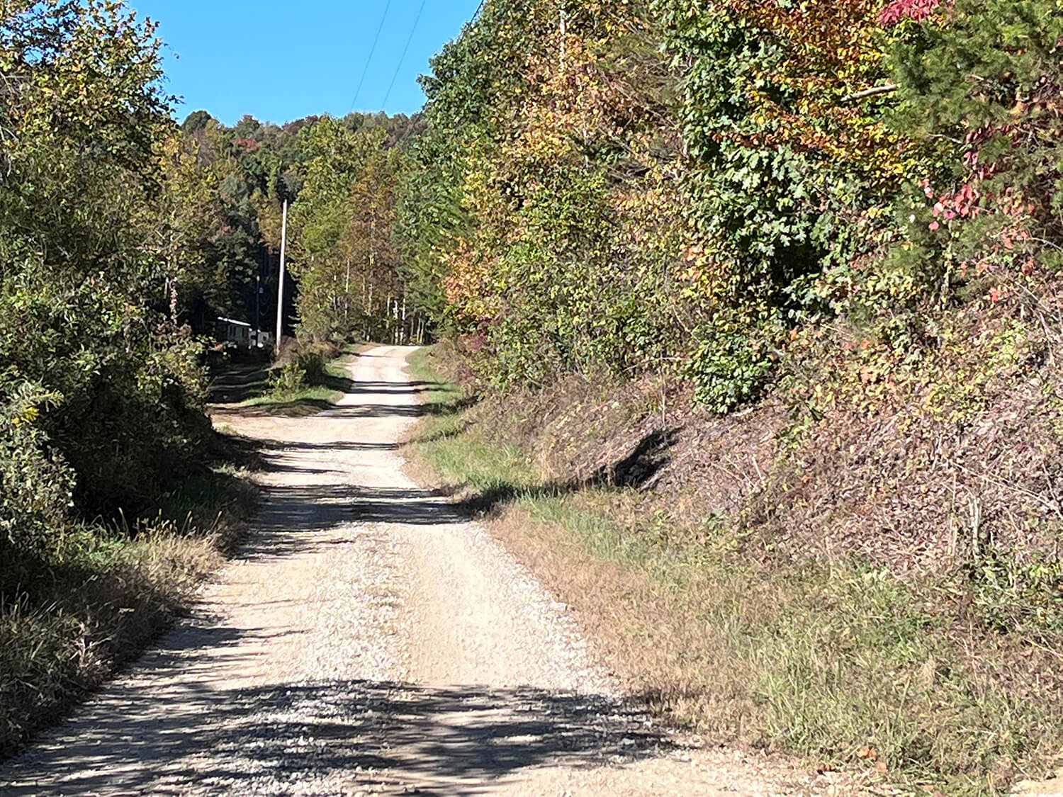 lowder fork farms 6-5