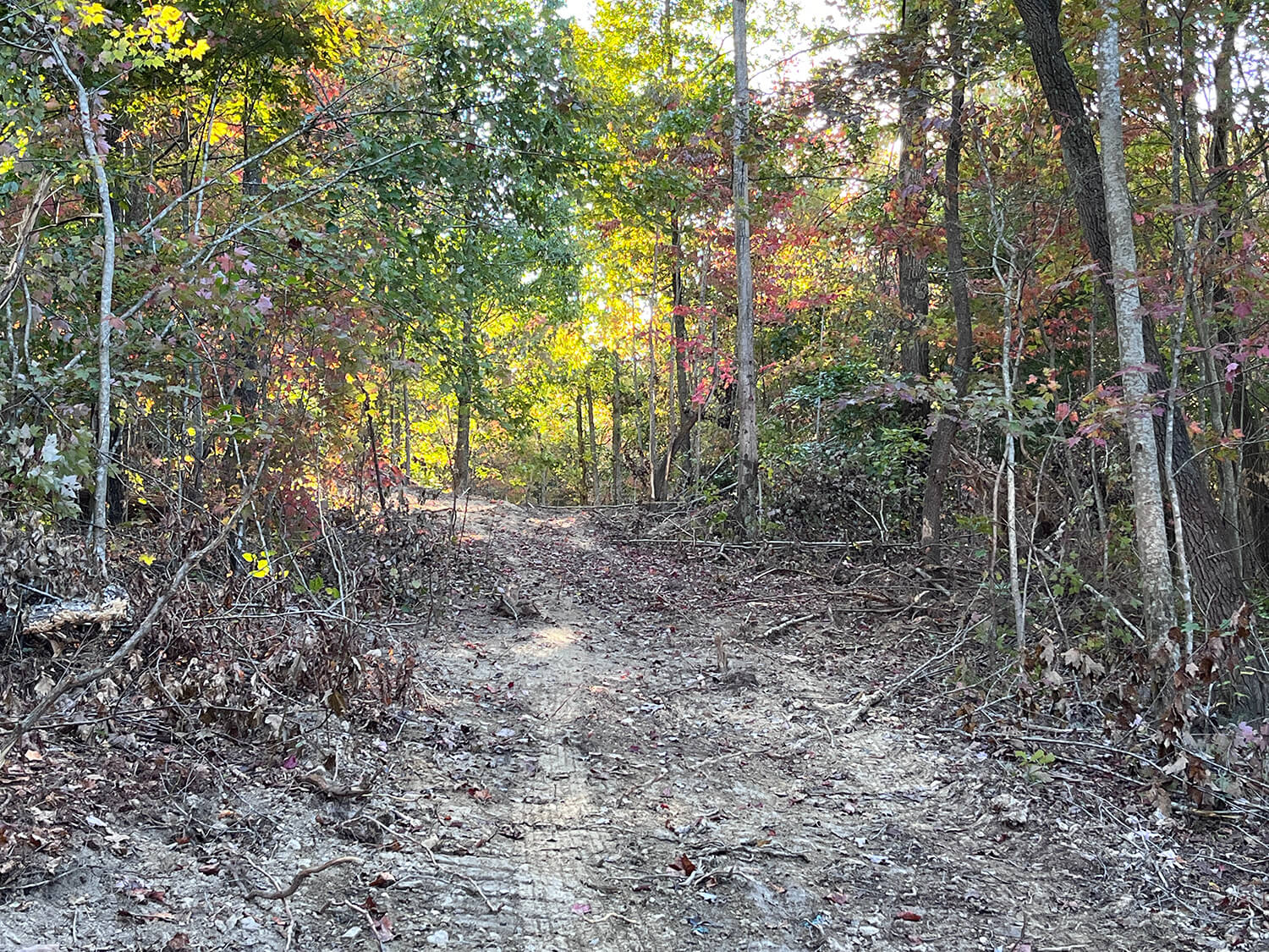 lowder fork farms 7-3