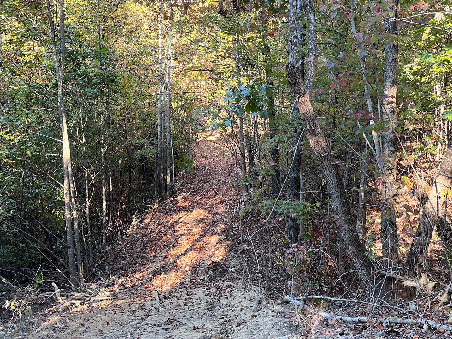 lowder fork farms 7-4